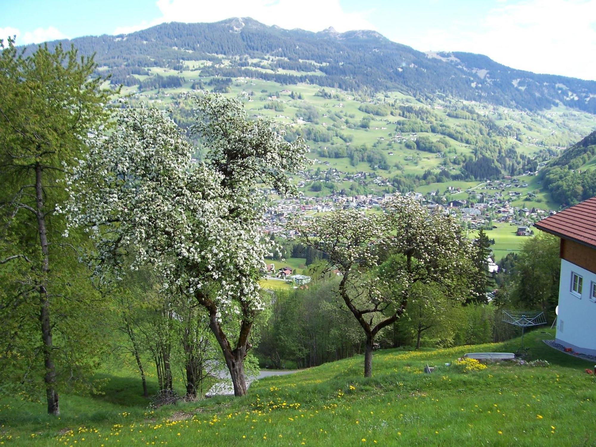 Ferienwohnung Roschitz Schruns Esterno foto